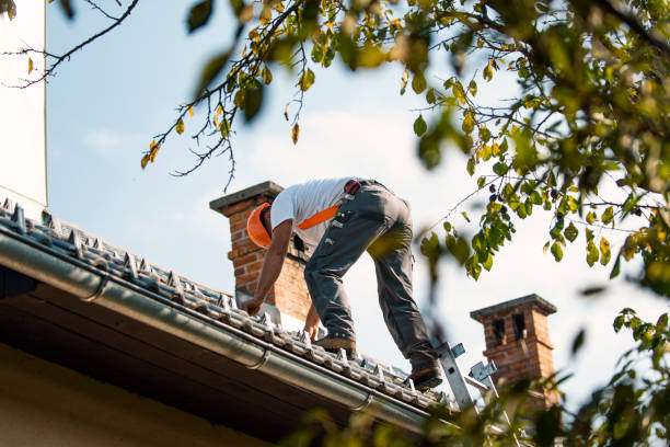 Best Residential Roofing Contractor  in Banks Springs, LA